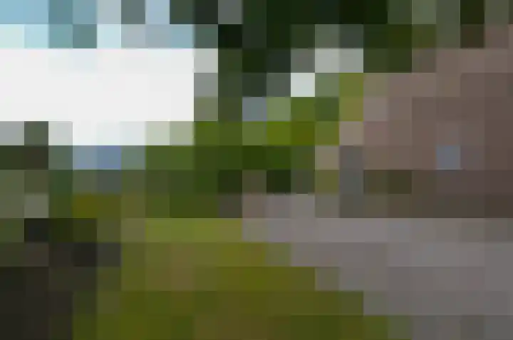 Oosteinde 16 Gasteren thumbnail 22
