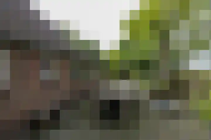 Oosteinde 16 Gasteren thumbnail 23