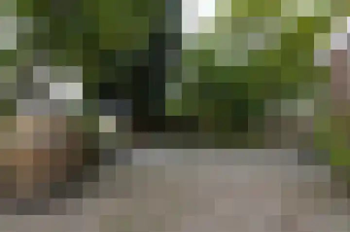 Oosteinde 16 Gasteren thumbnail 24