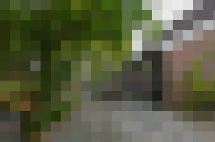 Oosteinde 16 Gasteren thumbnail 25
