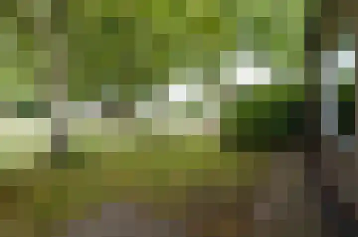 Oosteinde 16 Gasteren thumbnail 26