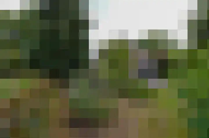Oosteinde 16 Gasteren thumbnail 28