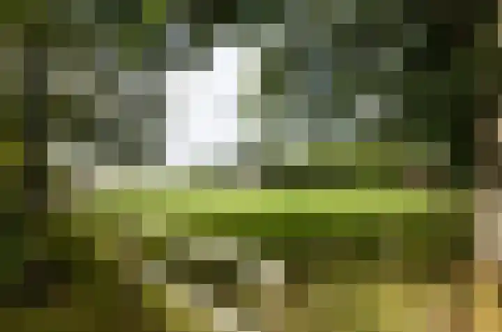 Oosteinde 16 Gasteren thumbnail 37