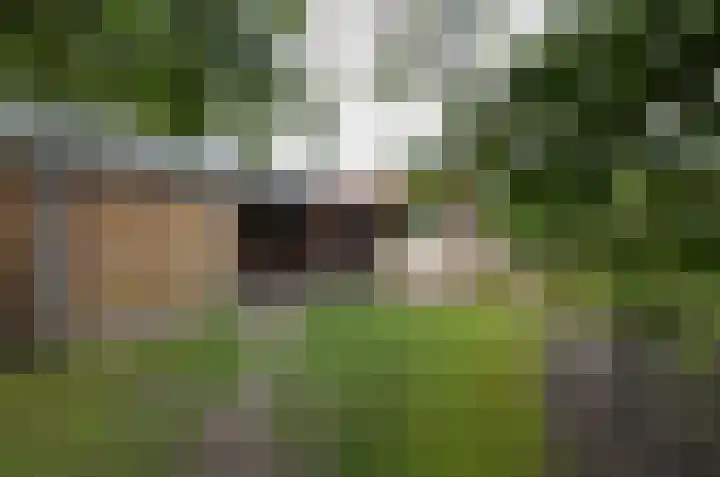 Oosteinde 16 Gasteren thumbnail 4