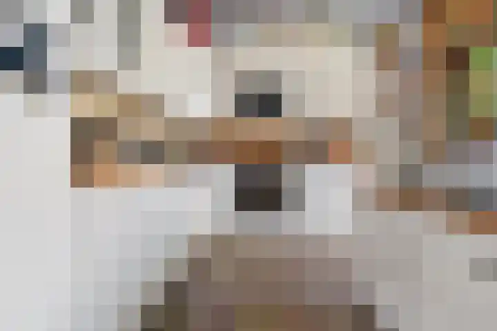 Oosteinde 16 Hijken thumbnail 19