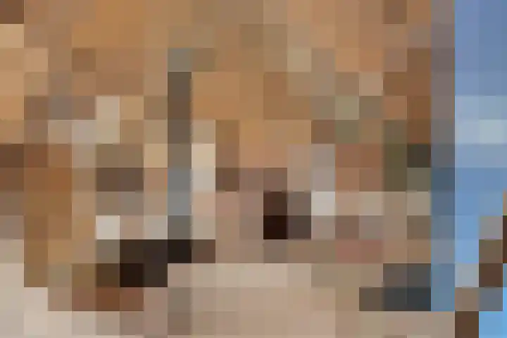 Oosteinde 16 Hijken thumbnail 32