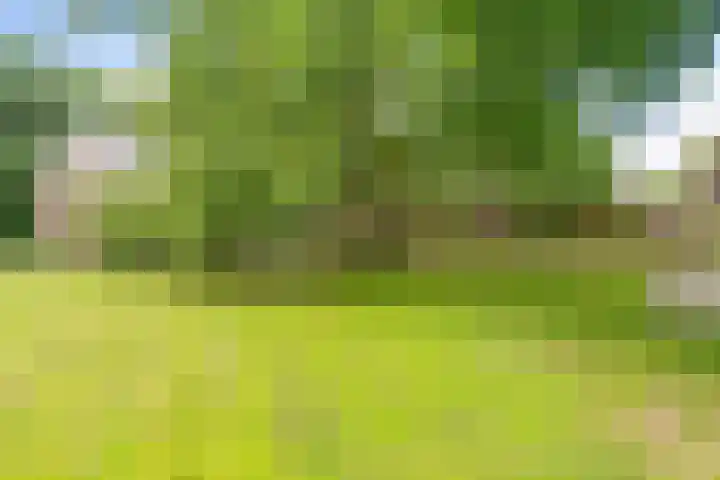 Oosteinde 16 Hijken thumbnail 34
