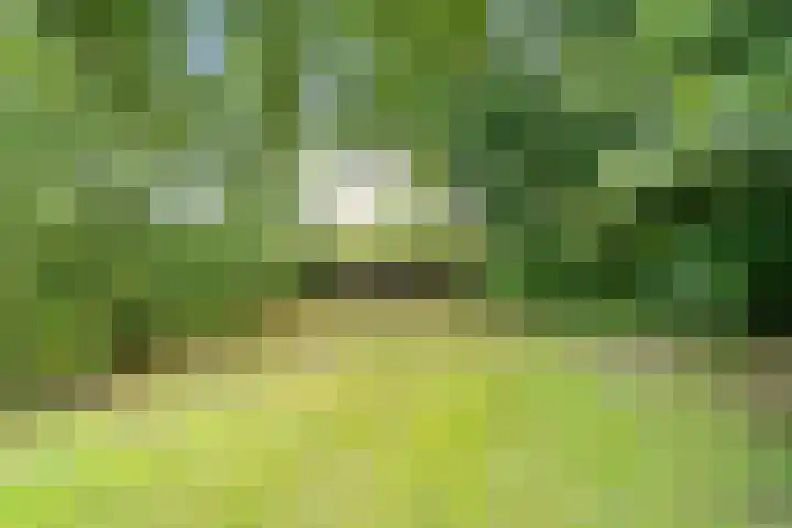Oosteinde 16 Hijken thumbnail 35