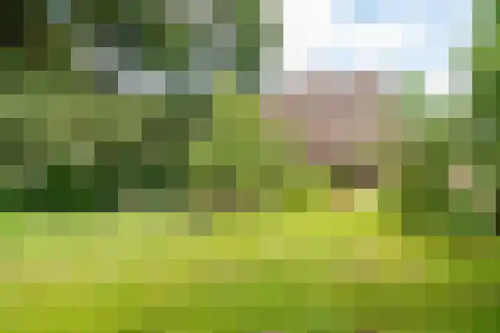 Oosteinde 16 Hijken thumbnail 36
