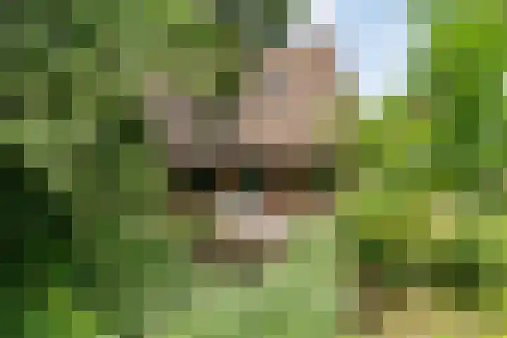 Oosteinde 16 Hijken thumbnail 37
