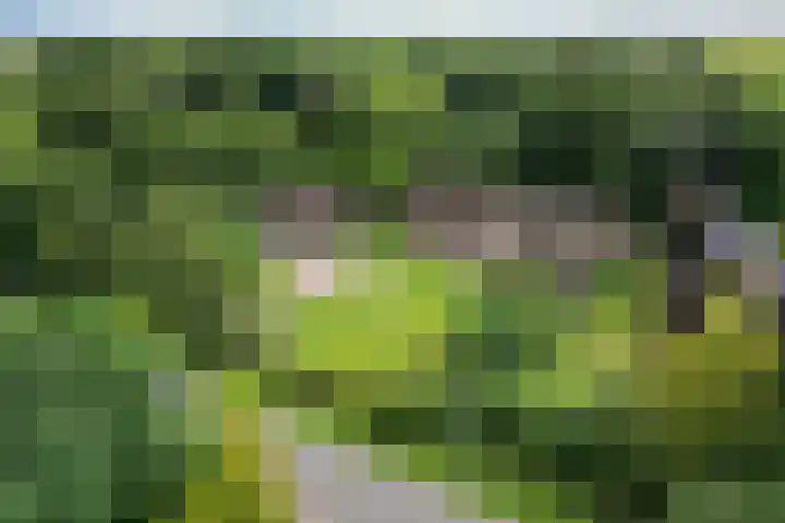 Oosteinde 16 Hijken thumbnail 38