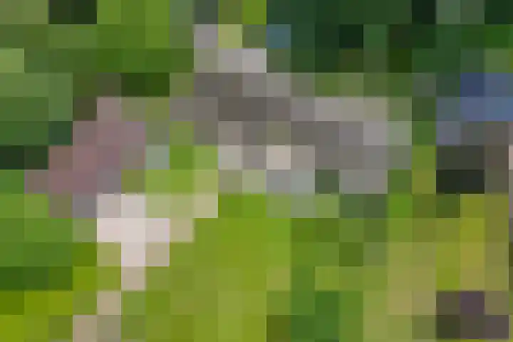 Oosteinde 16 Hijken thumbnail 39