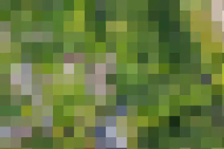 Oosteinde 16 Hijken thumbnail 40