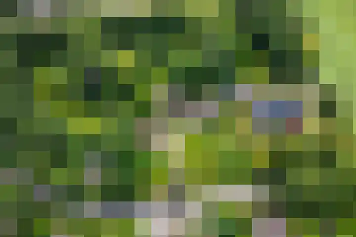 Oosteinde 16 Hijken thumbnail 41