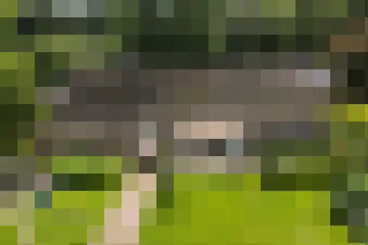 Oosteinde 16 Hijken thumbnail 43