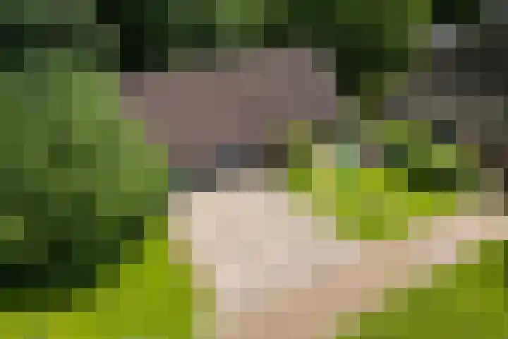 Oosteinde 16 Hijken thumbnail 44