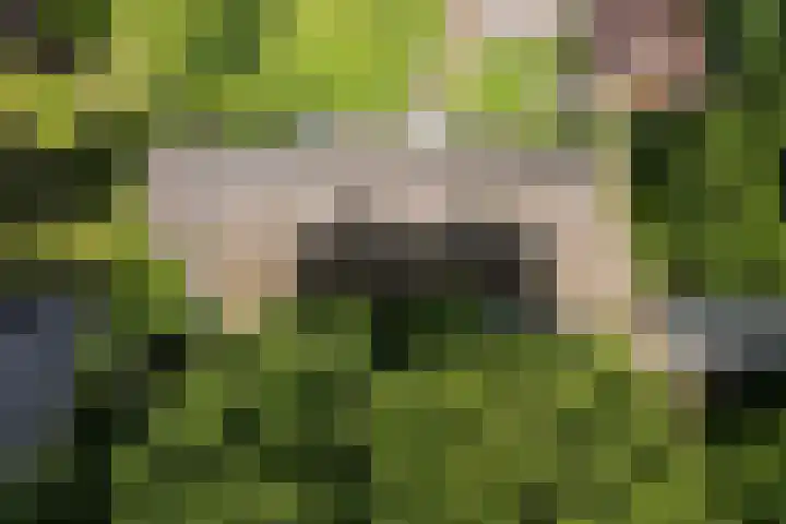 Oosteinde 16 Hijken thumbnail 48