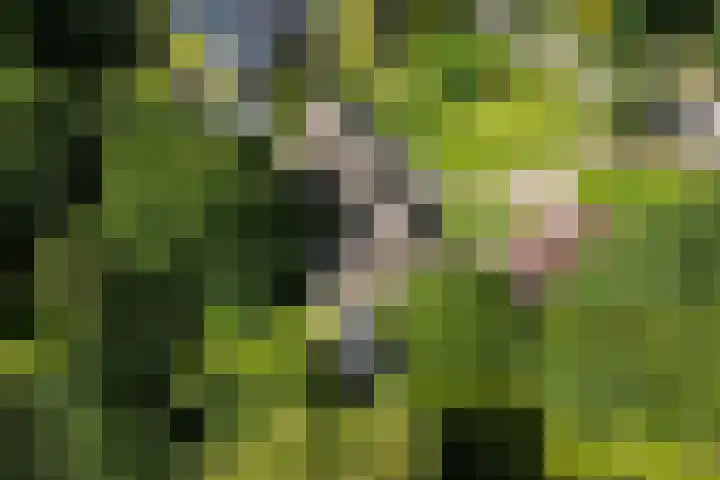 Oosteinde 16 Hijken thumbnail 49