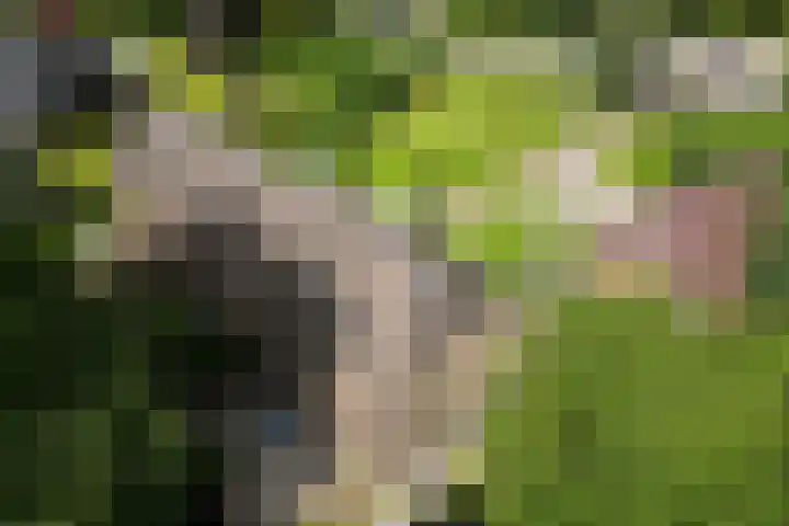 Oosteinde 16 Hijken thumbnail 50