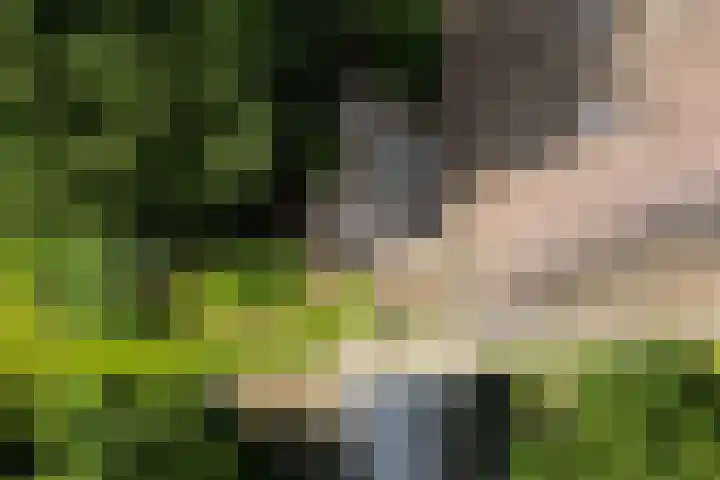Oosteinde 16 Hijken thumbnail 51