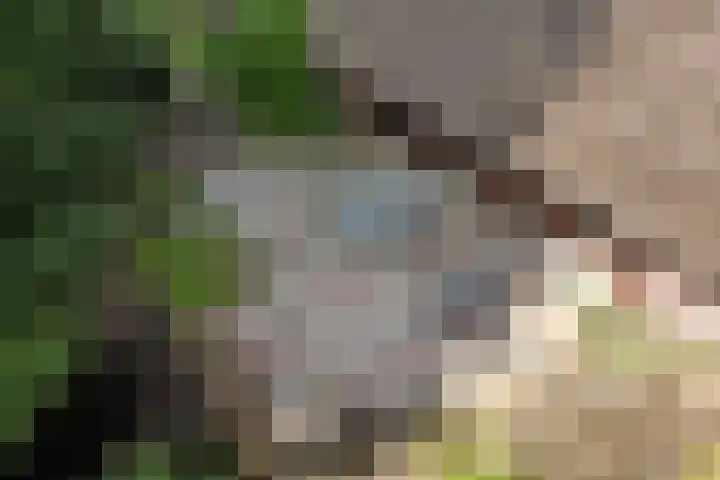 Oosteinde 16 Hijken thumbnail 52