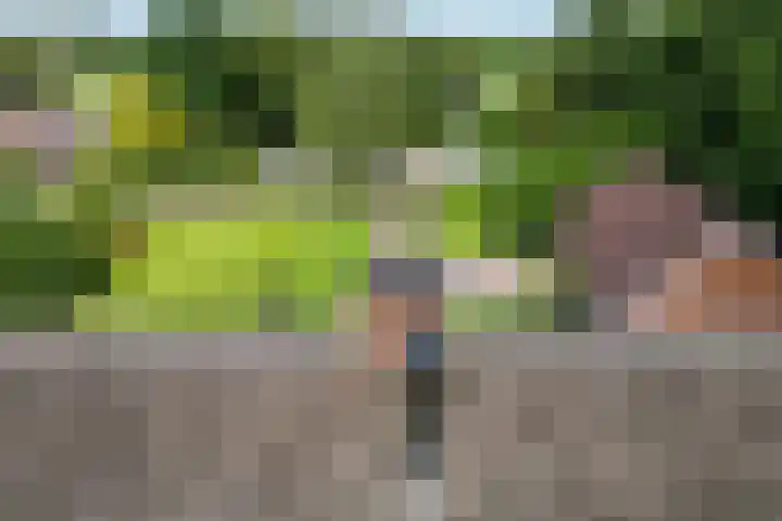 Oosteinde 16 Hijken thumbnail 56