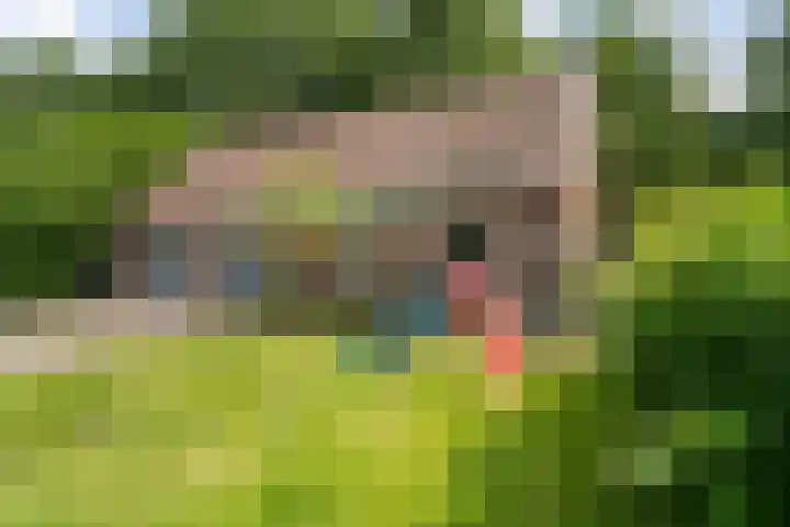 Oosteinde 16 Hijken thumbnail 7
