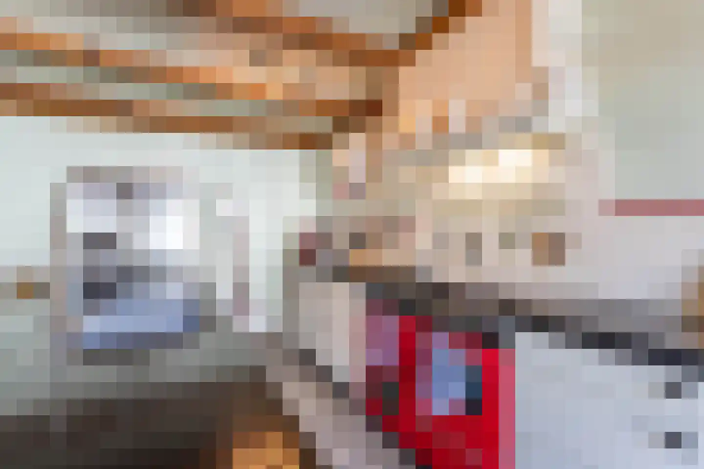 Oosteinde 16 St.-Jacobiparochie thumbnail 11