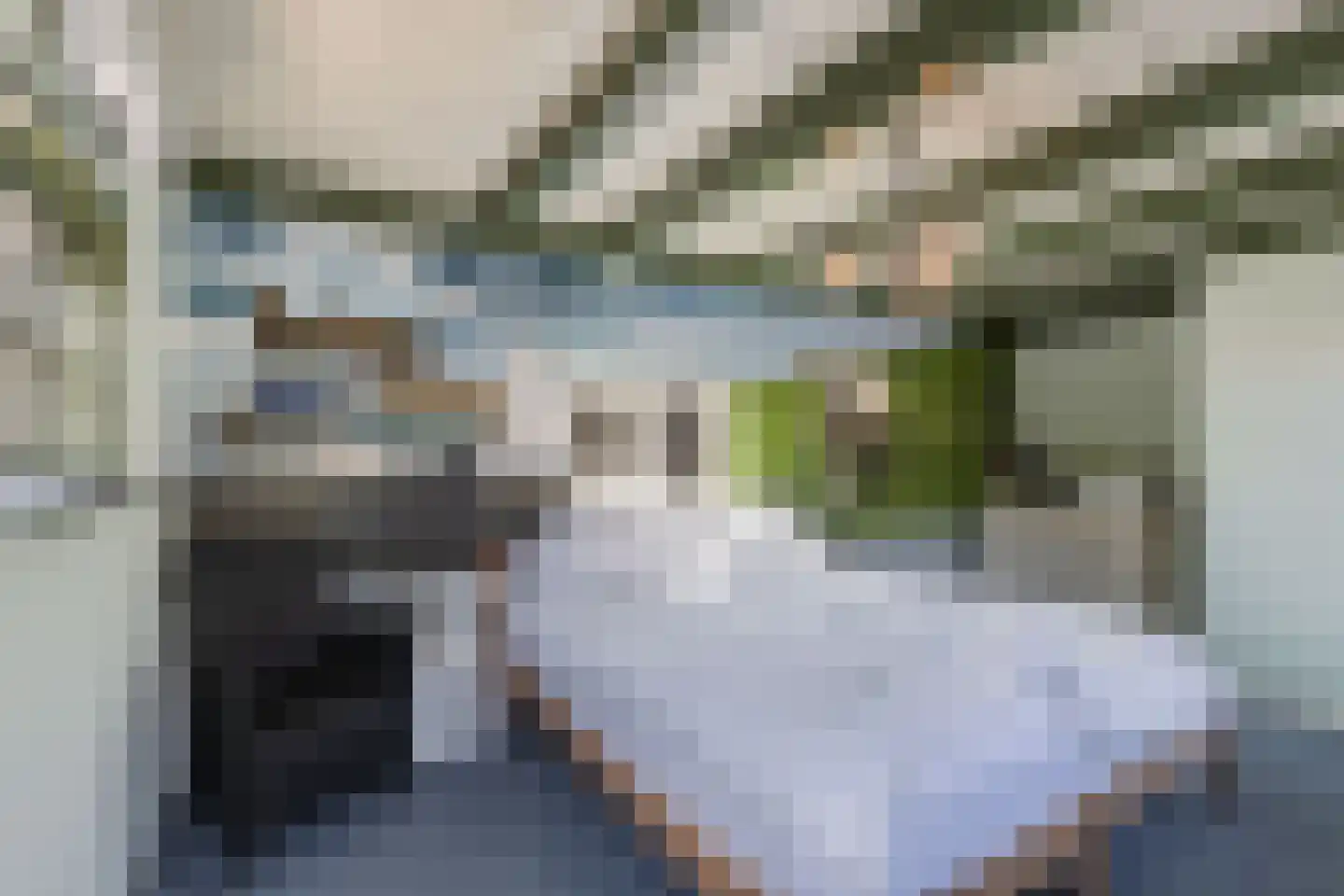 Oosteinde 16 St.-Jacobiparochie thumbnail 42