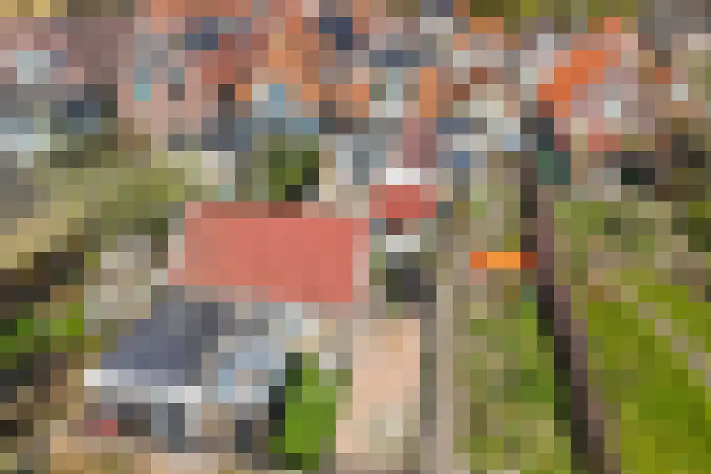 Oosteinde 16 St.-Jacobiparochie thumbnail 49