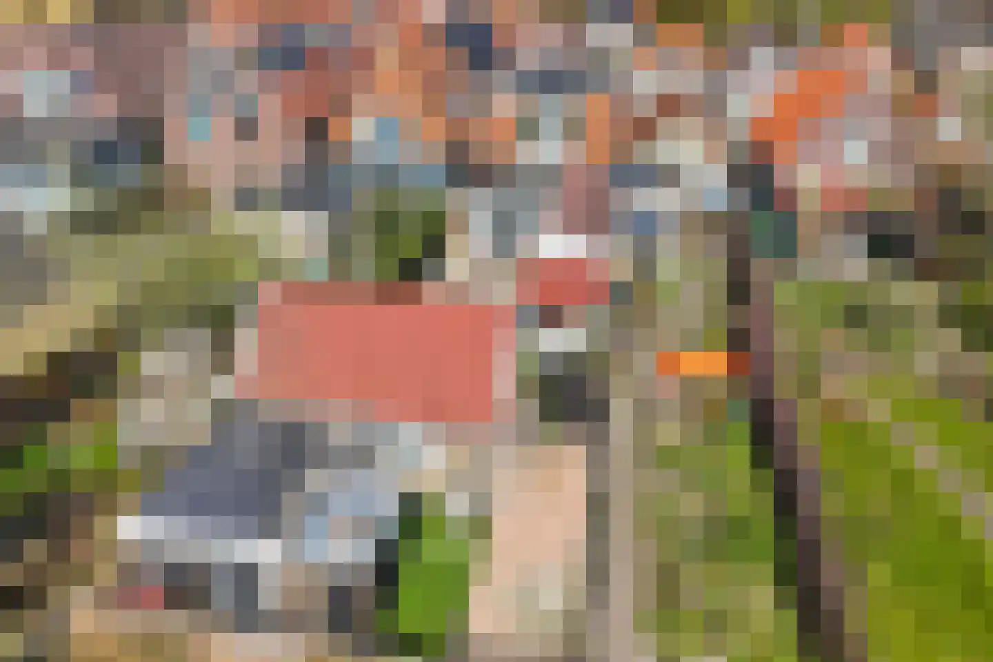 Oosteinde 16 St.-Jacobiparochie thumbnail 50