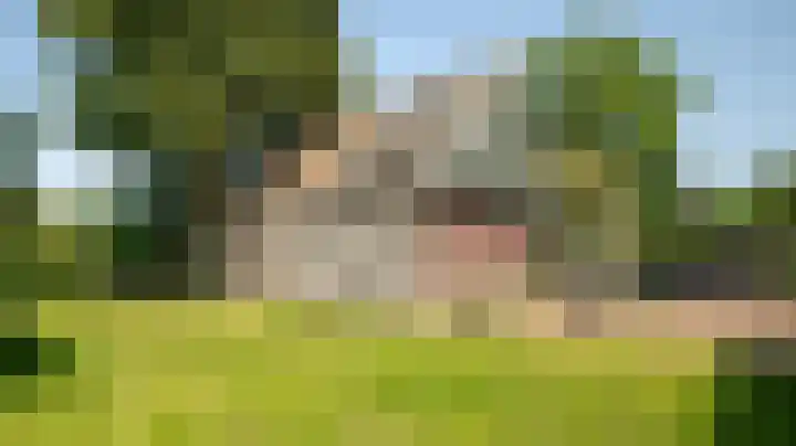 Oosteinde 164 a Vriezenveen thumbnail 23