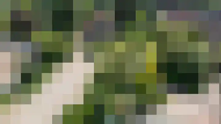Oosteinde 164 a Vriezenveen thumbnail 30
