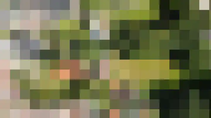 Oosteinde 164 a Vriezenveen thumbnail 31