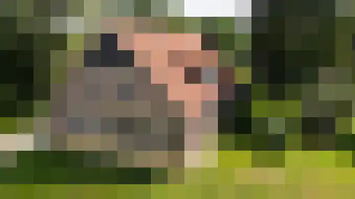 Oosteinde 164 a Vriezenveen thumbnail 4