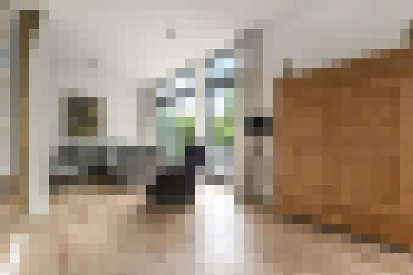 Oosteinde 164 Voorburg thumbnail 11