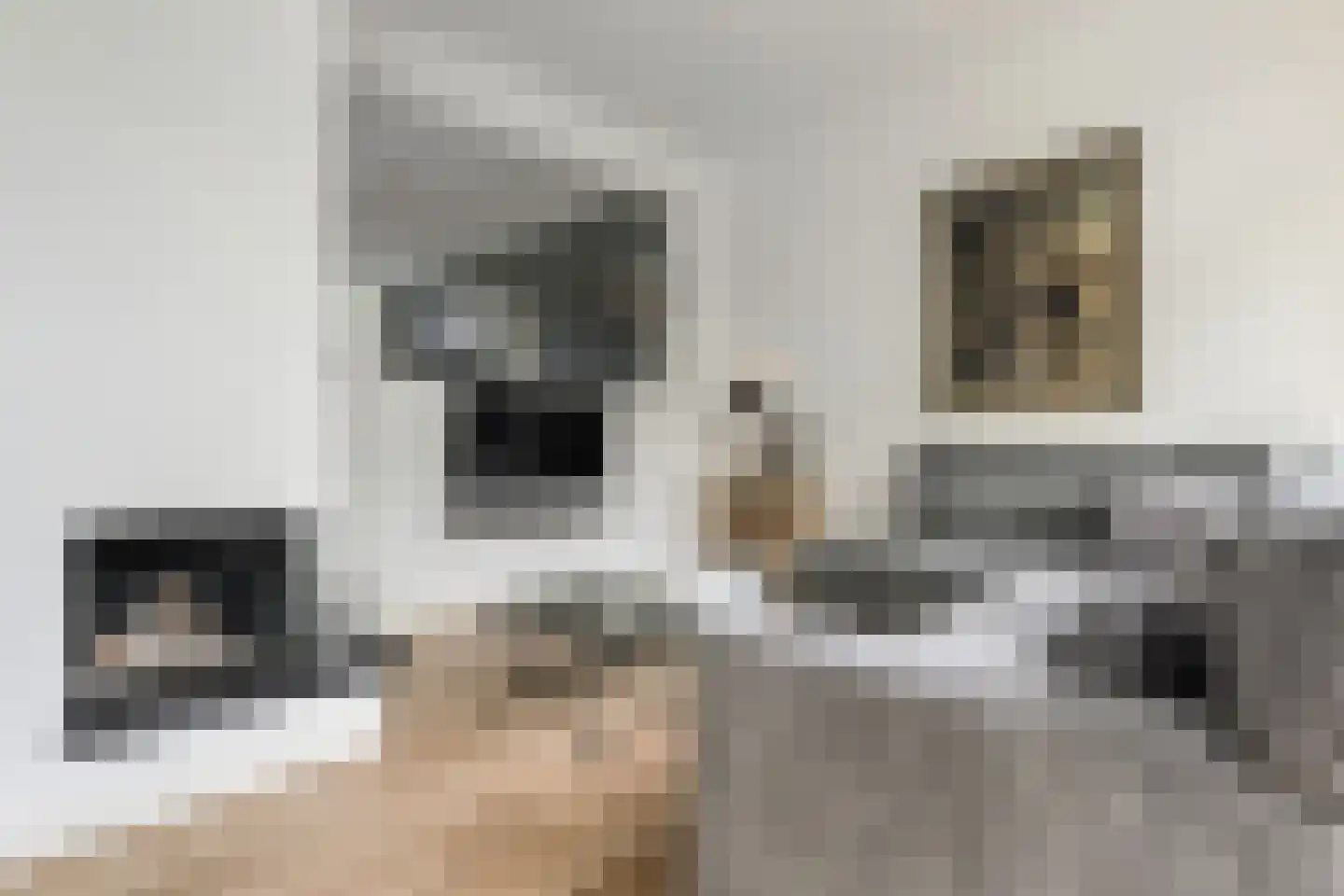Oosteinde 164 Voorburg thumbnail 14