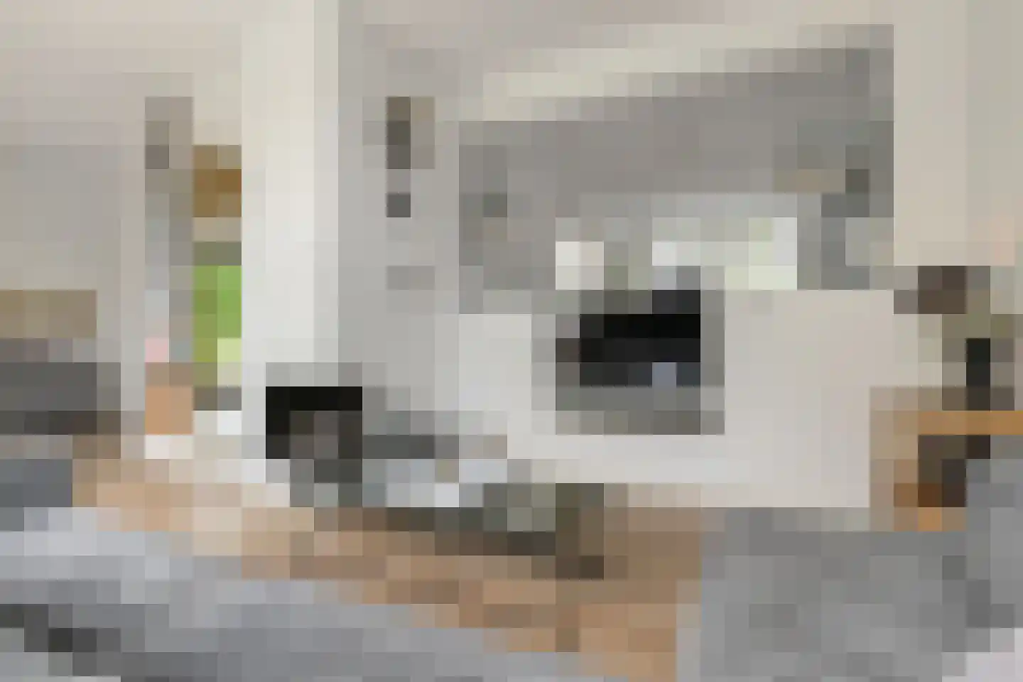 Oosteinde 164 Voorburg thumbnail 15