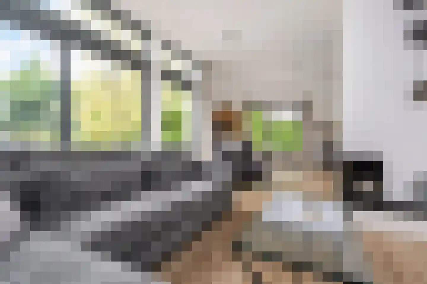 Oosteinde 164 Voorburg thumbnail 16