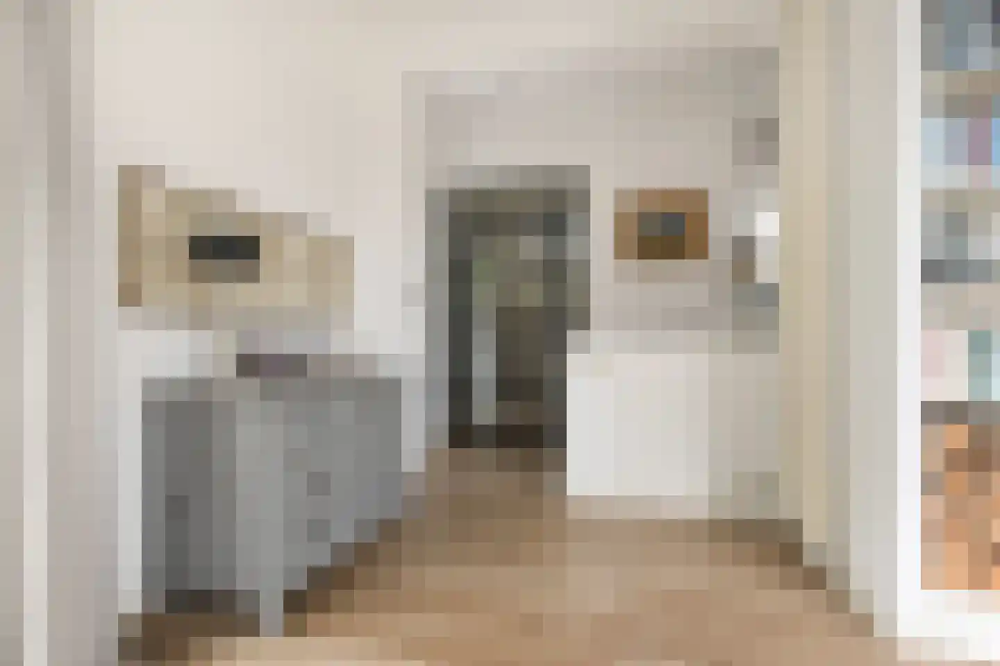 Oosteinde 164 Voorburg thumbnail 19
