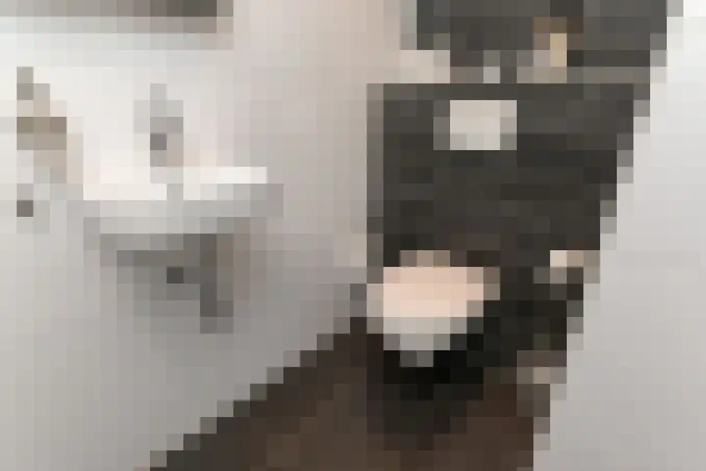 Oosteinde 164 Voorburg thumbnail 31