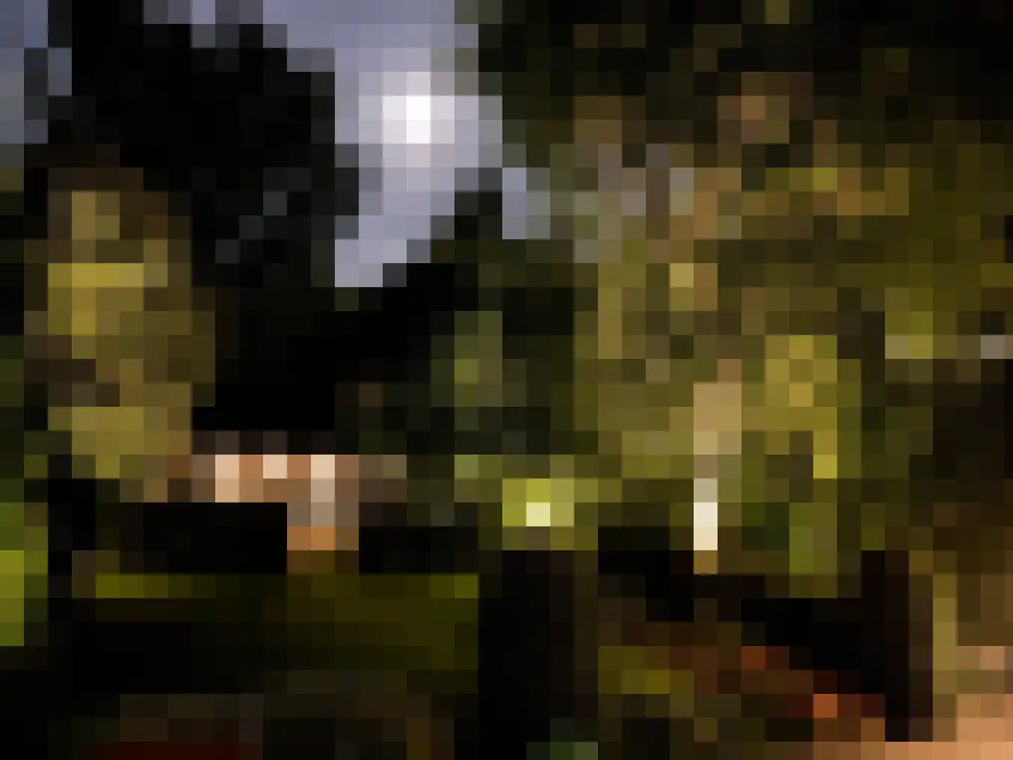 Oosteinde 164 Voorburg thumbnail 57