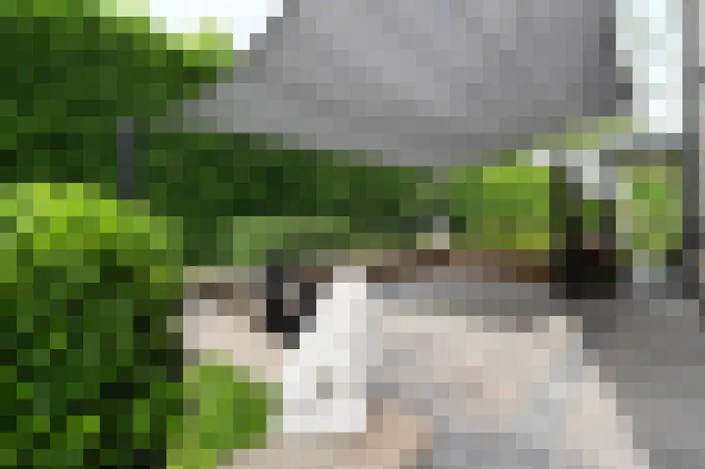 Oosteinde 164 Voorburg thumbnail 59