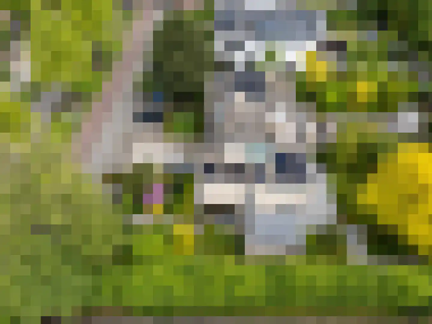 Oosteinde 164 Voorburg thumbnail 6