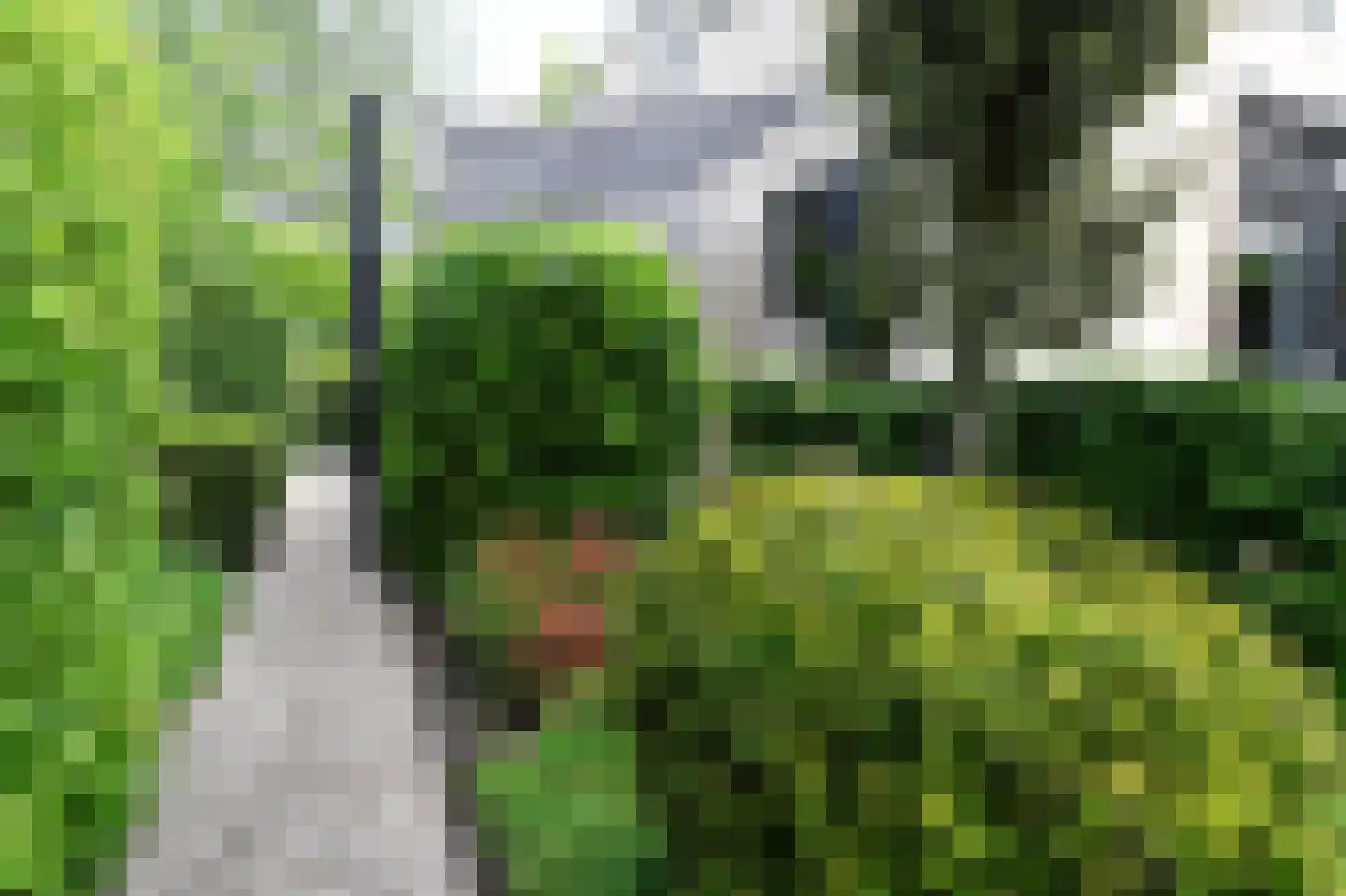 Oosteinde 164 Voorburg thumbnail 60