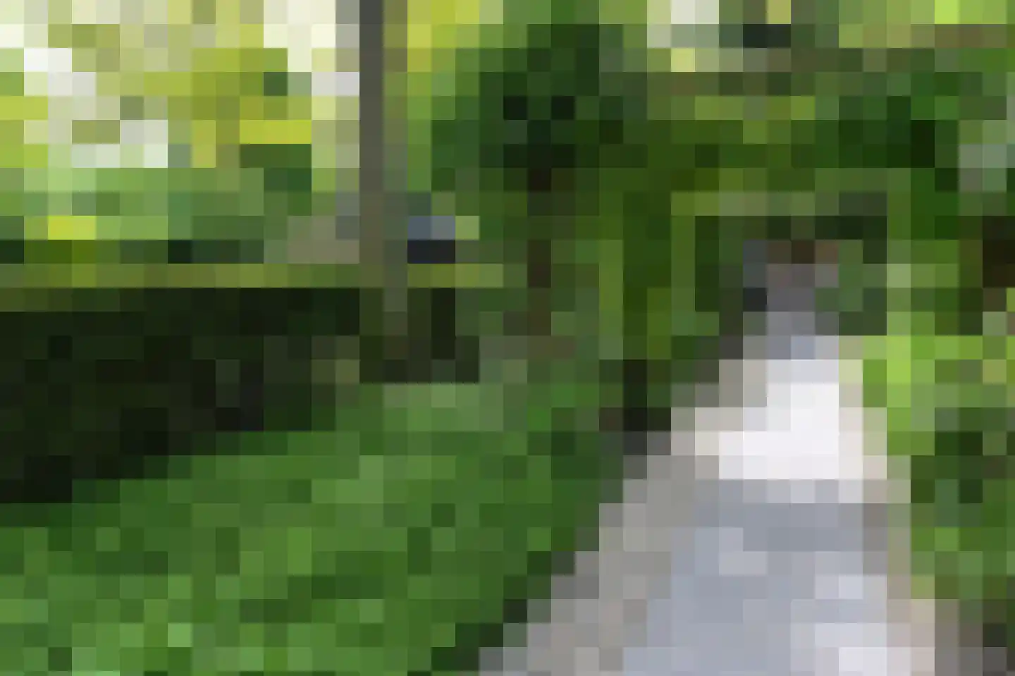 Oosteinde 164 Voorburg thumbnail 61