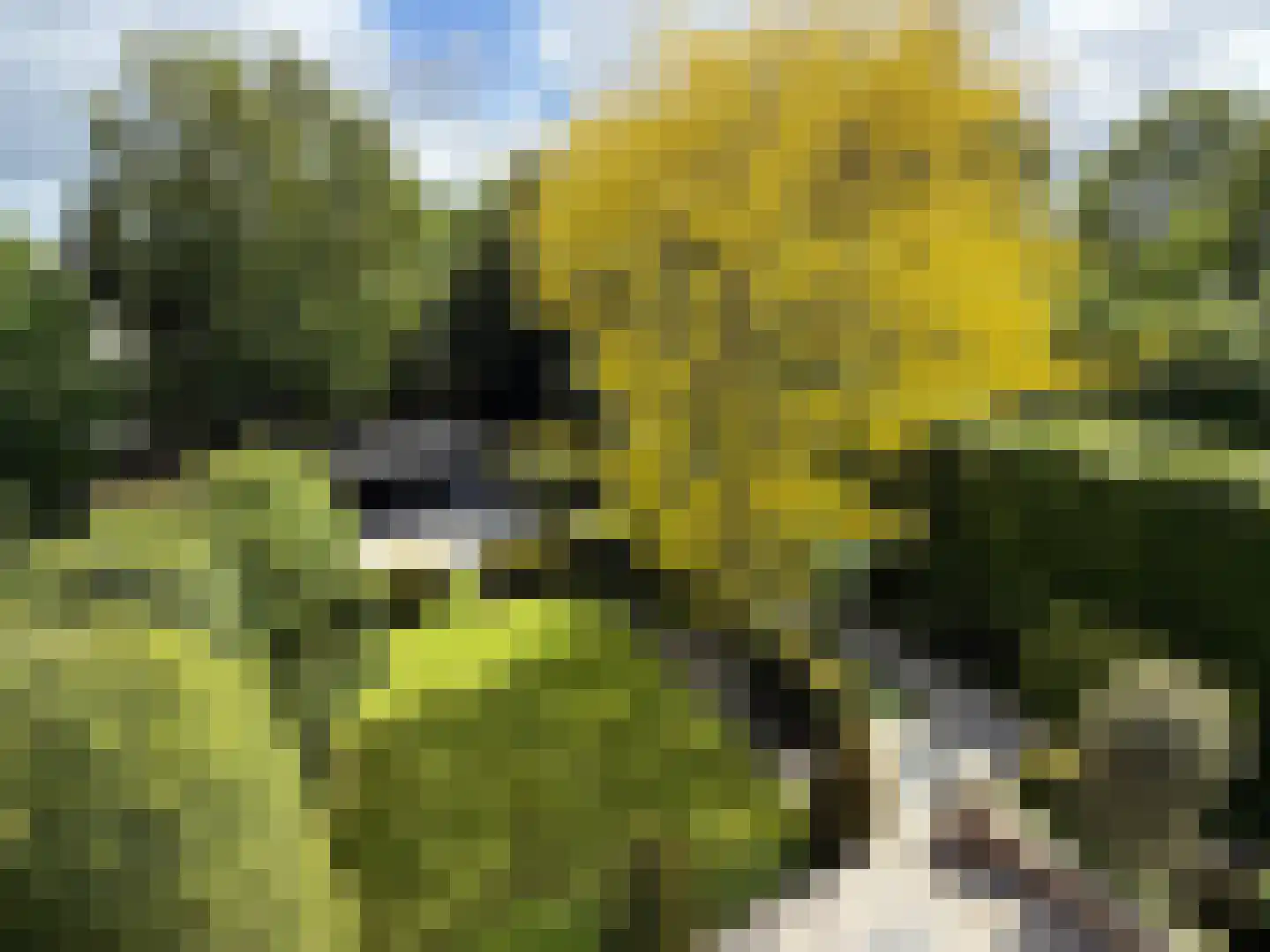 Oosteinde 164 Voorburg thumbnail 69