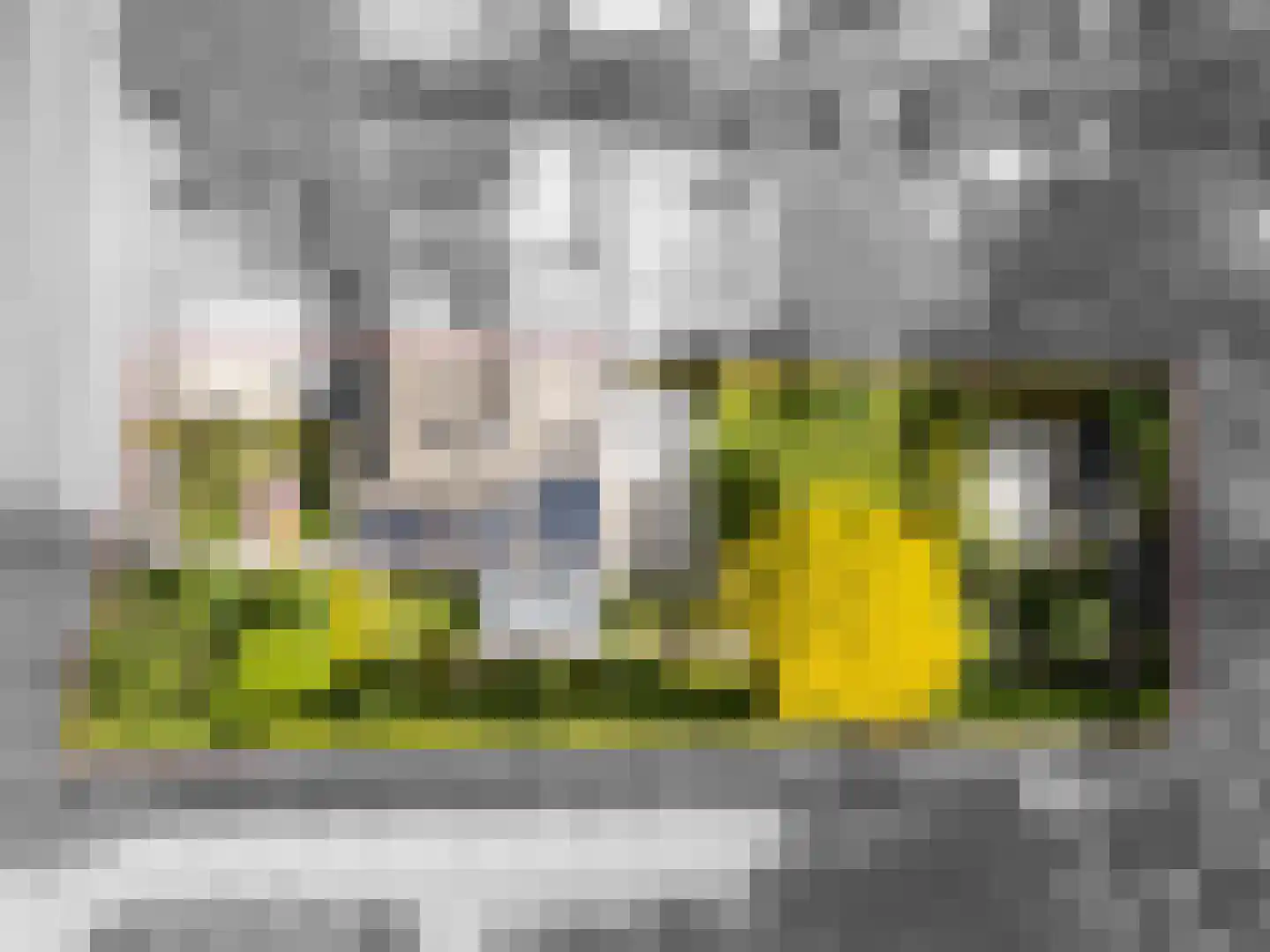 Oosteinde 164 Voorburg thumbnail 70