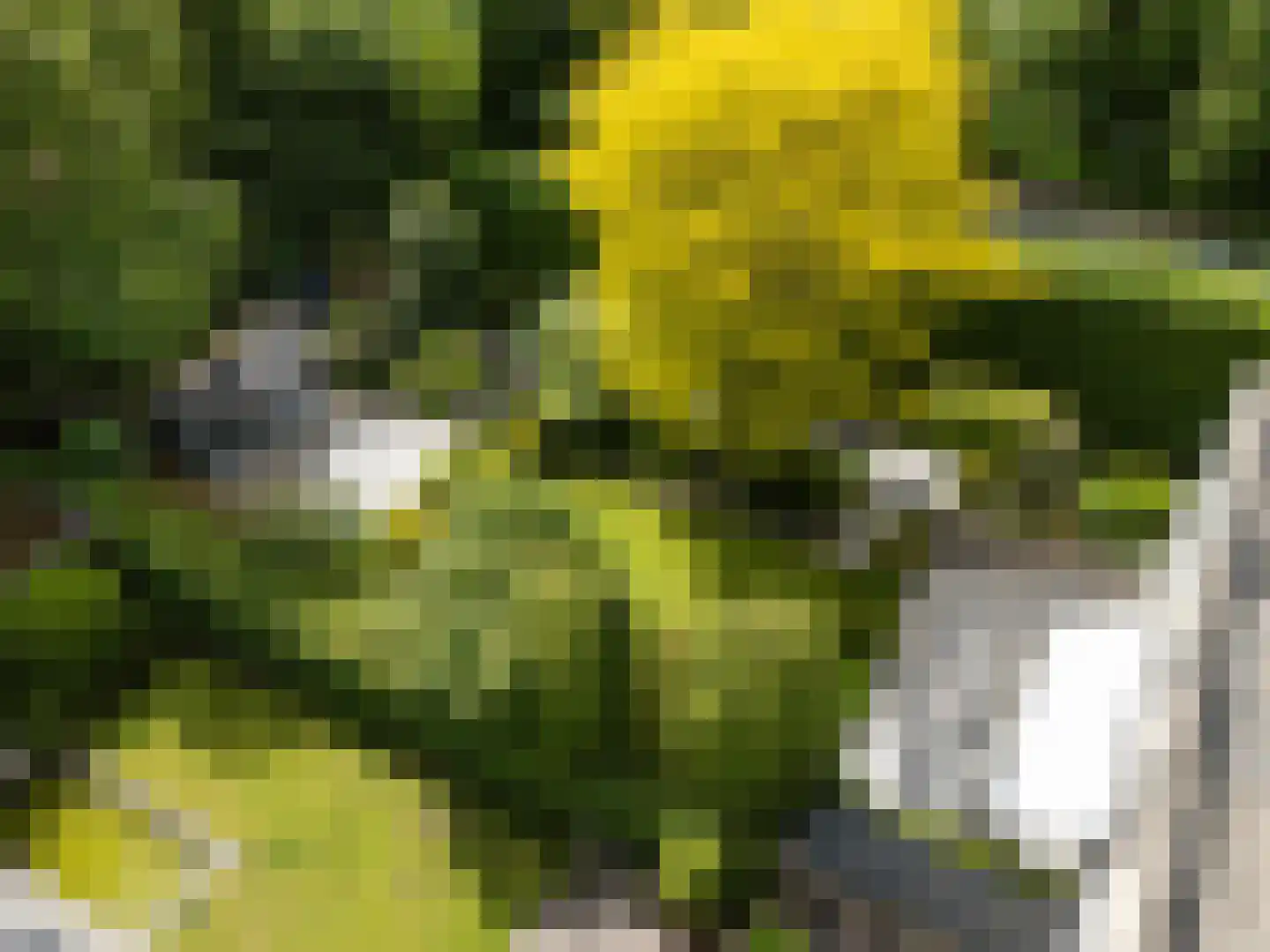 Oosteinde 164 Voorburg thumbnail 71