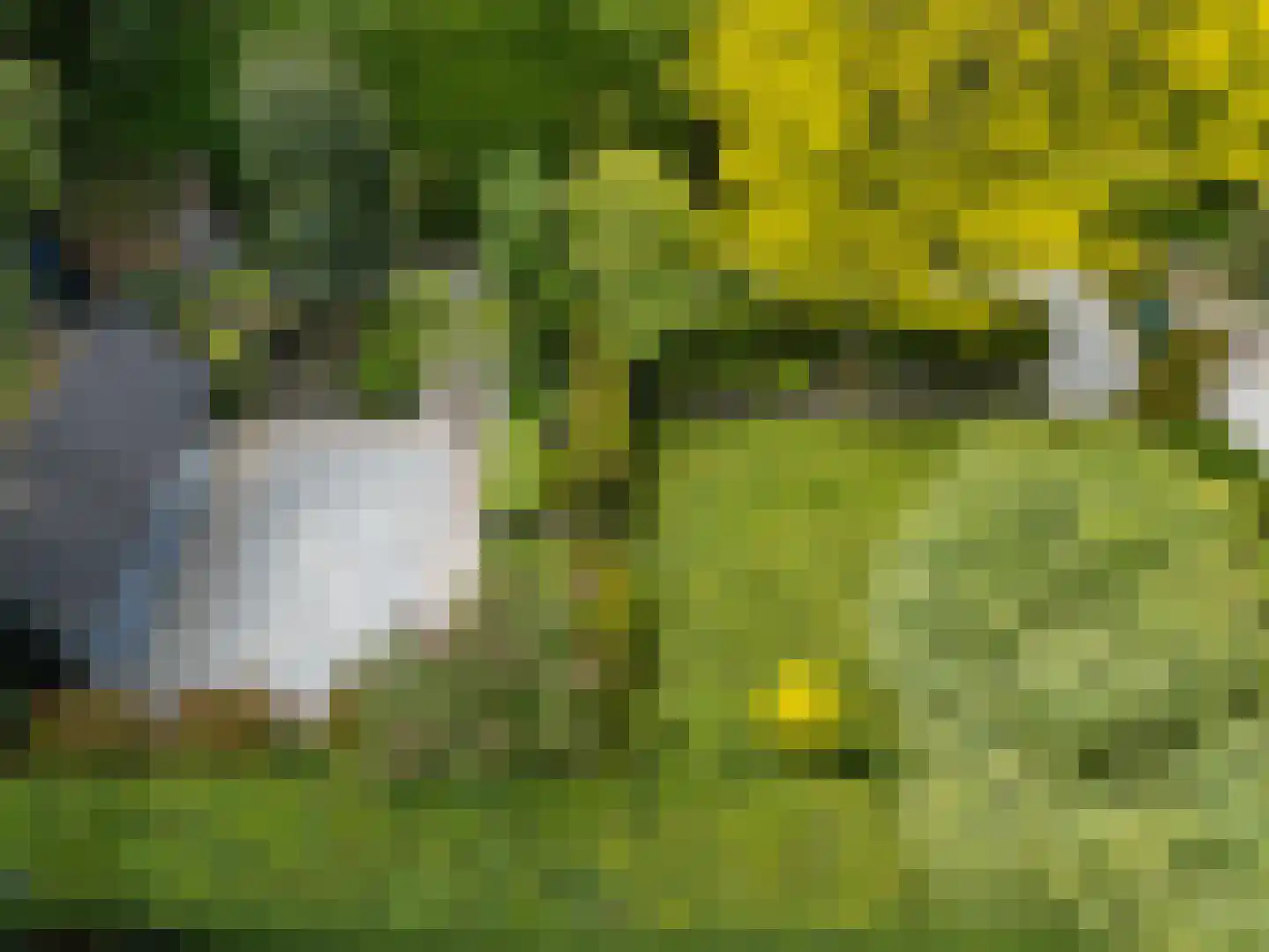 Oosteinde 164 Voorburg thumbnail 72